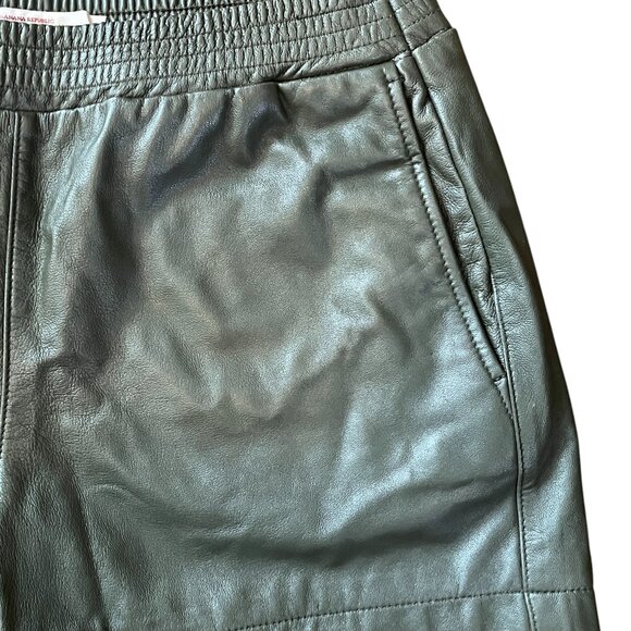 Banana Republic Heritage Collection Size 6 Faux Leather Elastic Waist Shorts - Picture 3 of 6